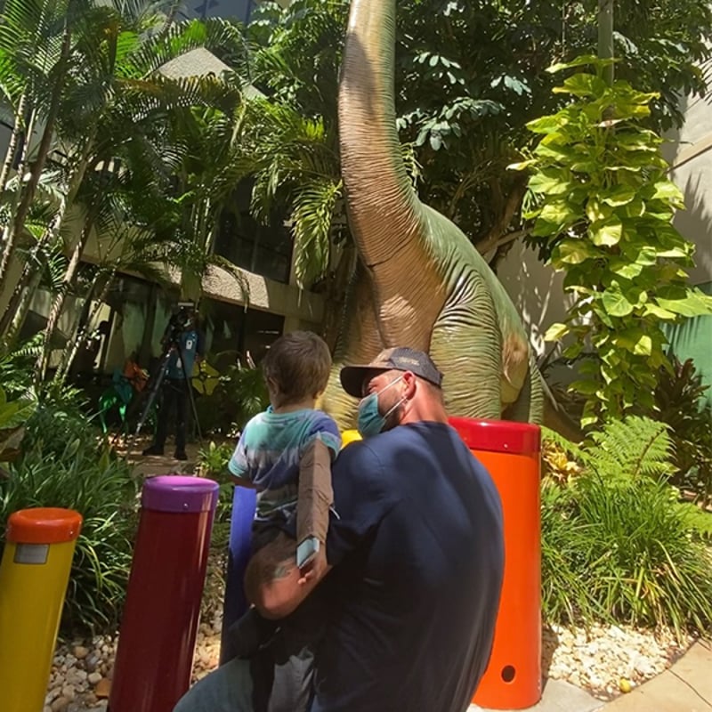 Palm Beach Children’s Hospital, DinoSOAR garden preview 8